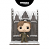 Funko Pop Remus Lupin with Shrieking Shack – Harry Potter